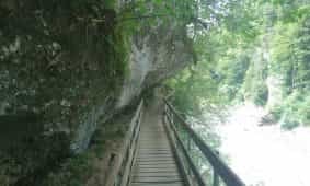 DSC_1342.JPG Bürserschlucht