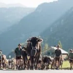 - Nachhaltiger Tourismus Österreich