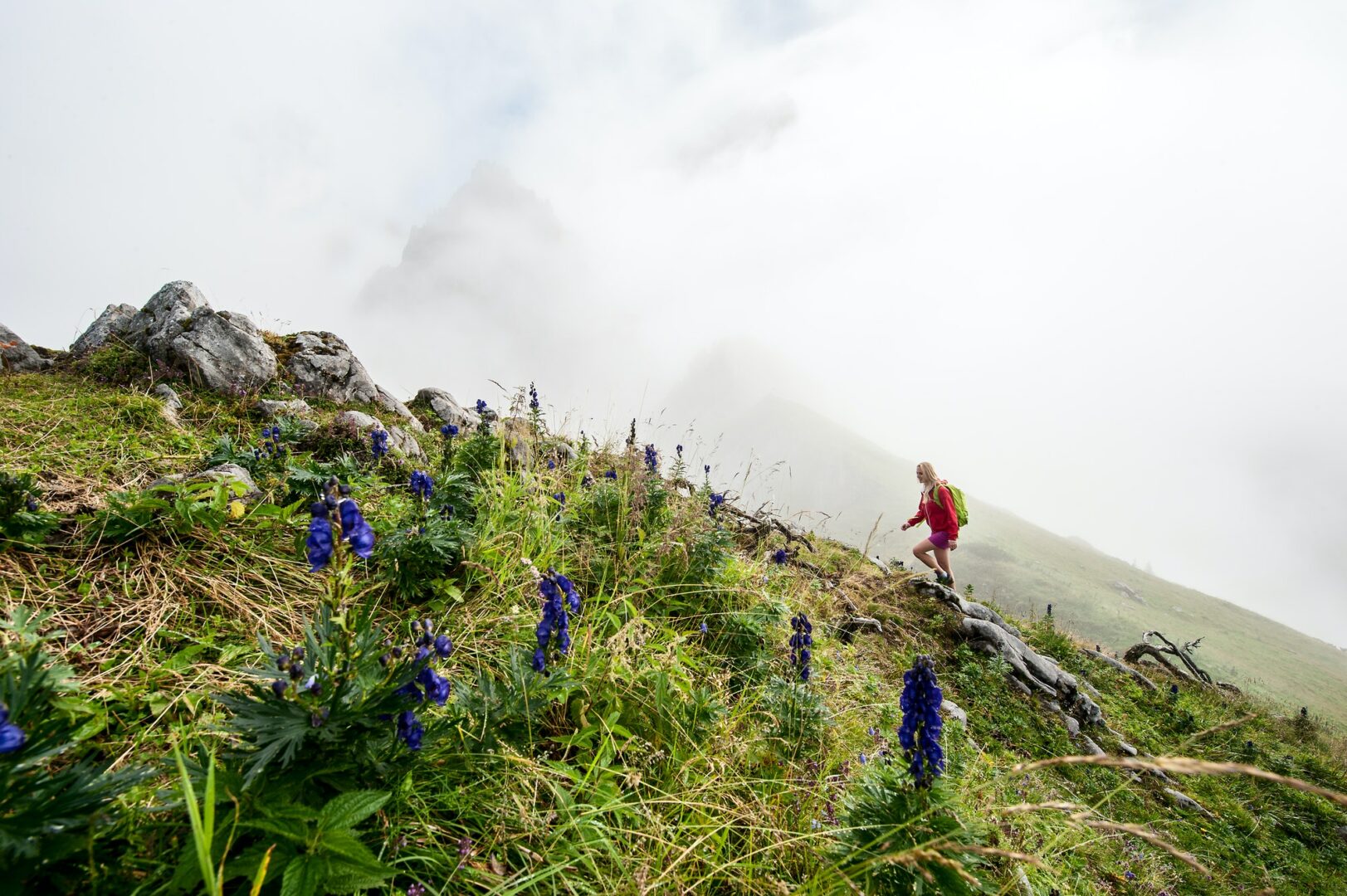 Austria, Salzburg State, Filzmoos, Female hiker