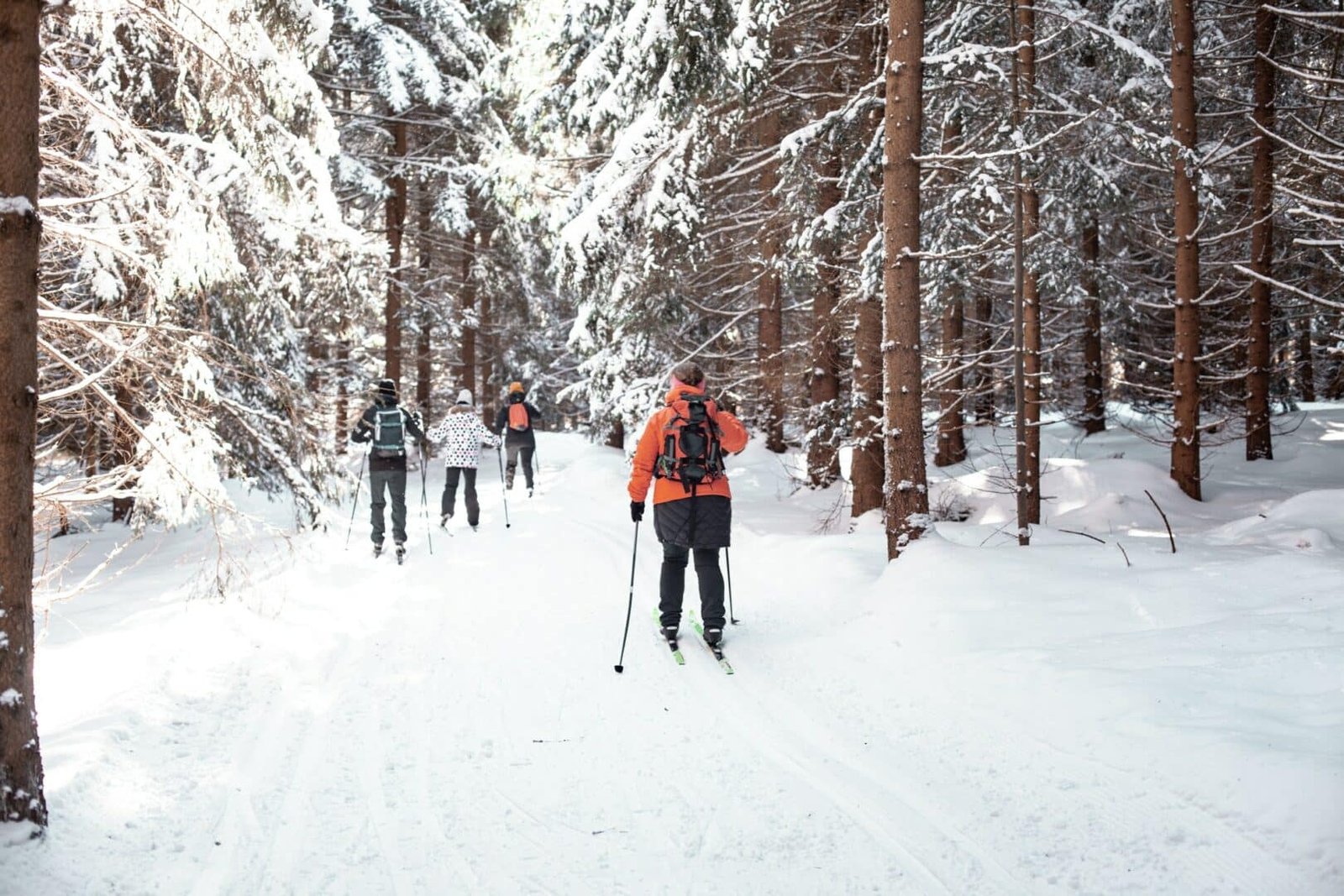 cross-country skiing in the woods in the snow in winter.