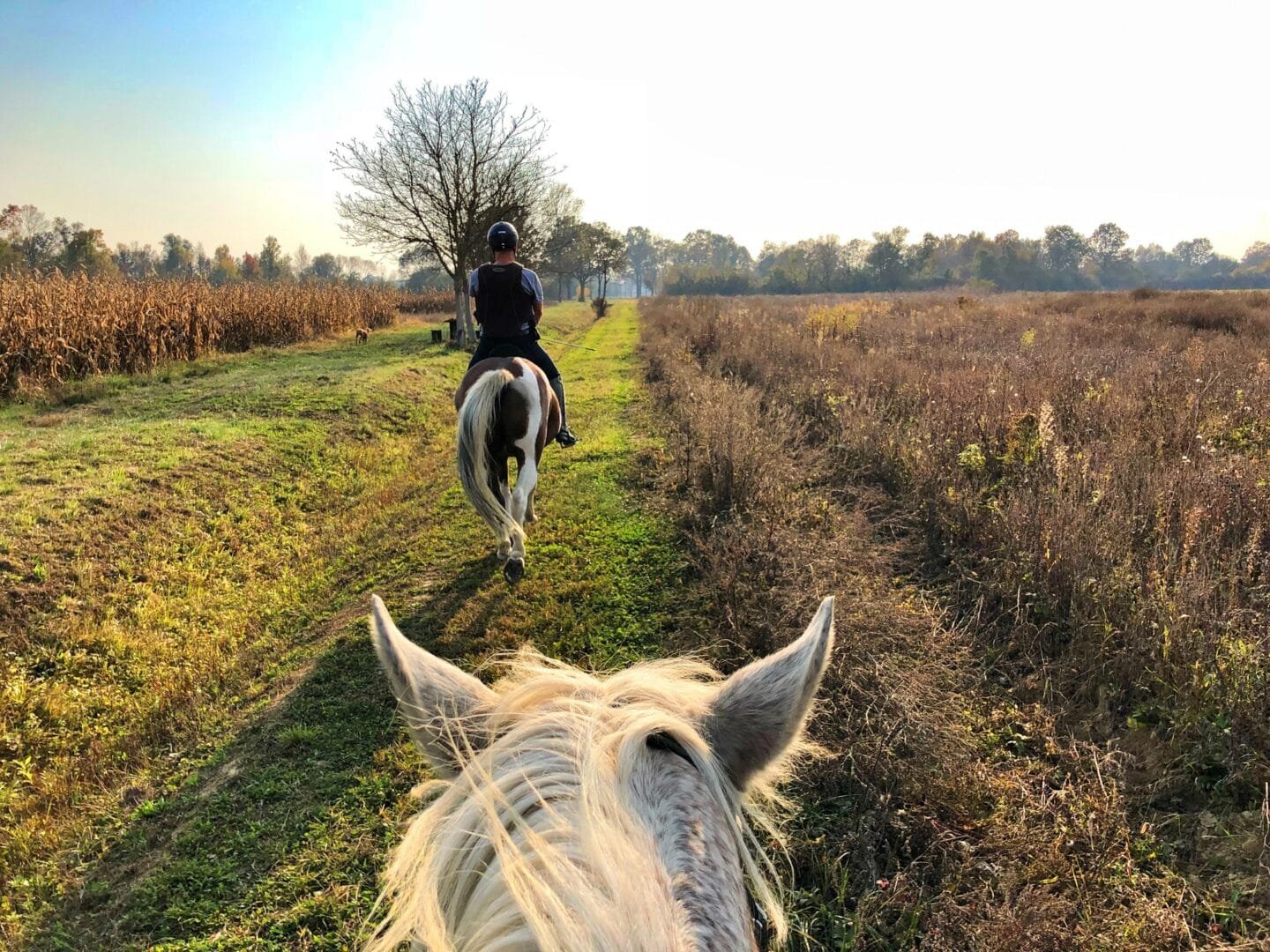 Horse riding