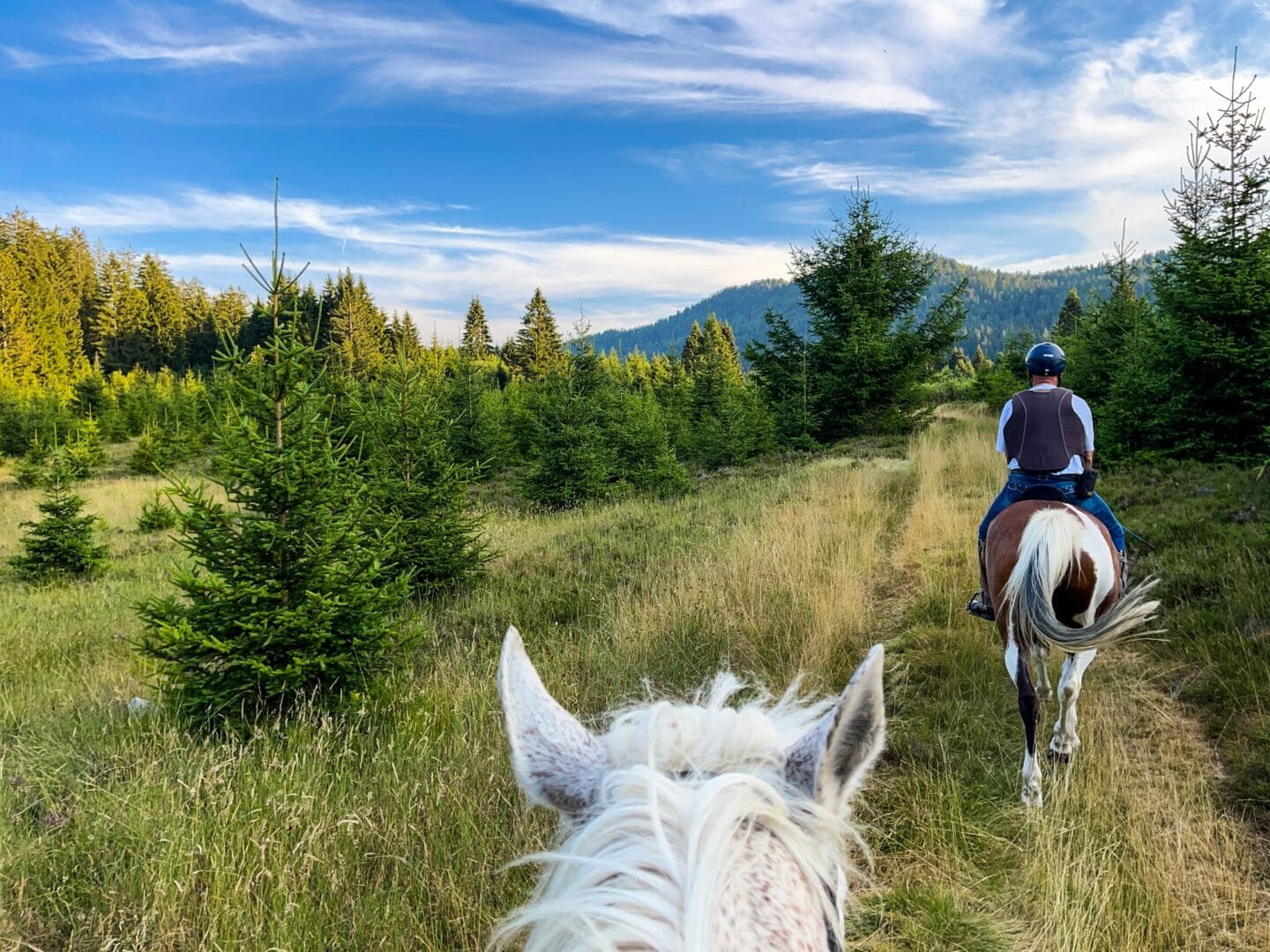 Horse riding