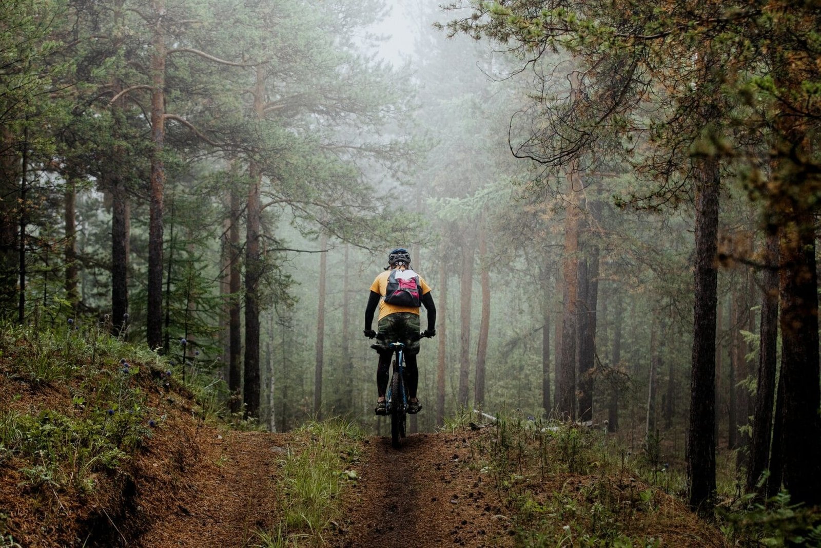 Man Mountainbiker