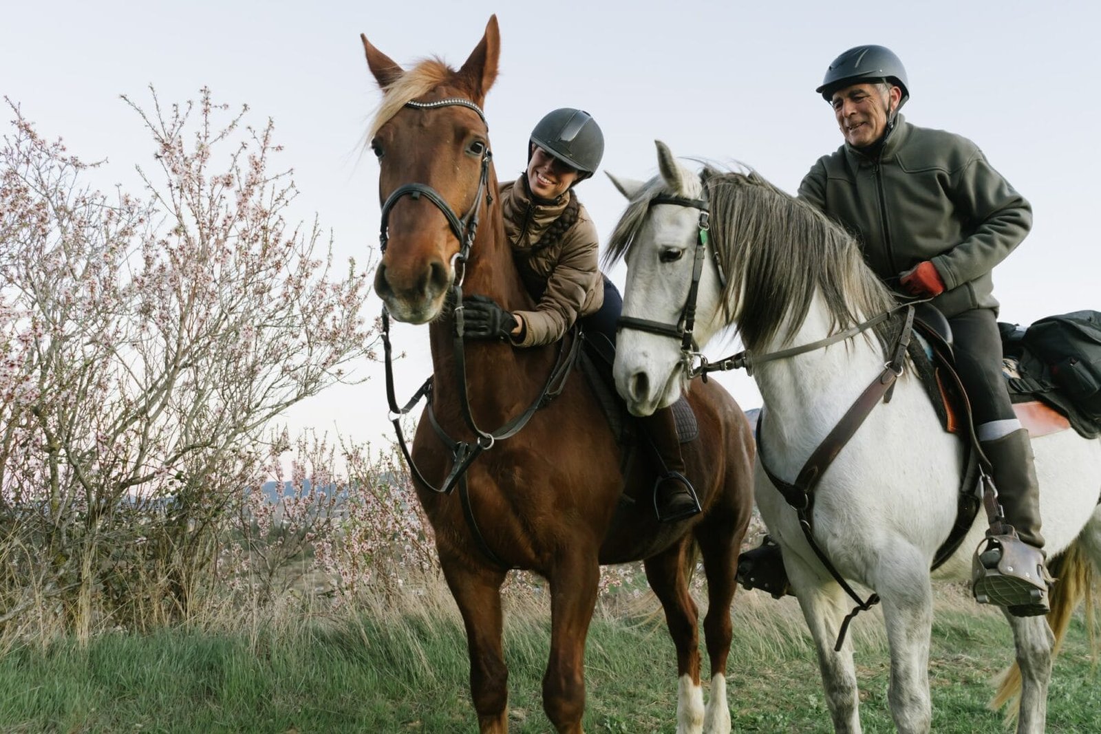 People riding horses