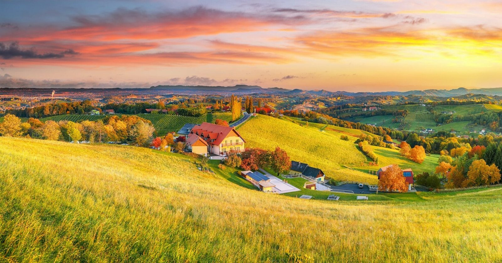 Fabulous vineyards landscape in South Styria near Gamlitz.