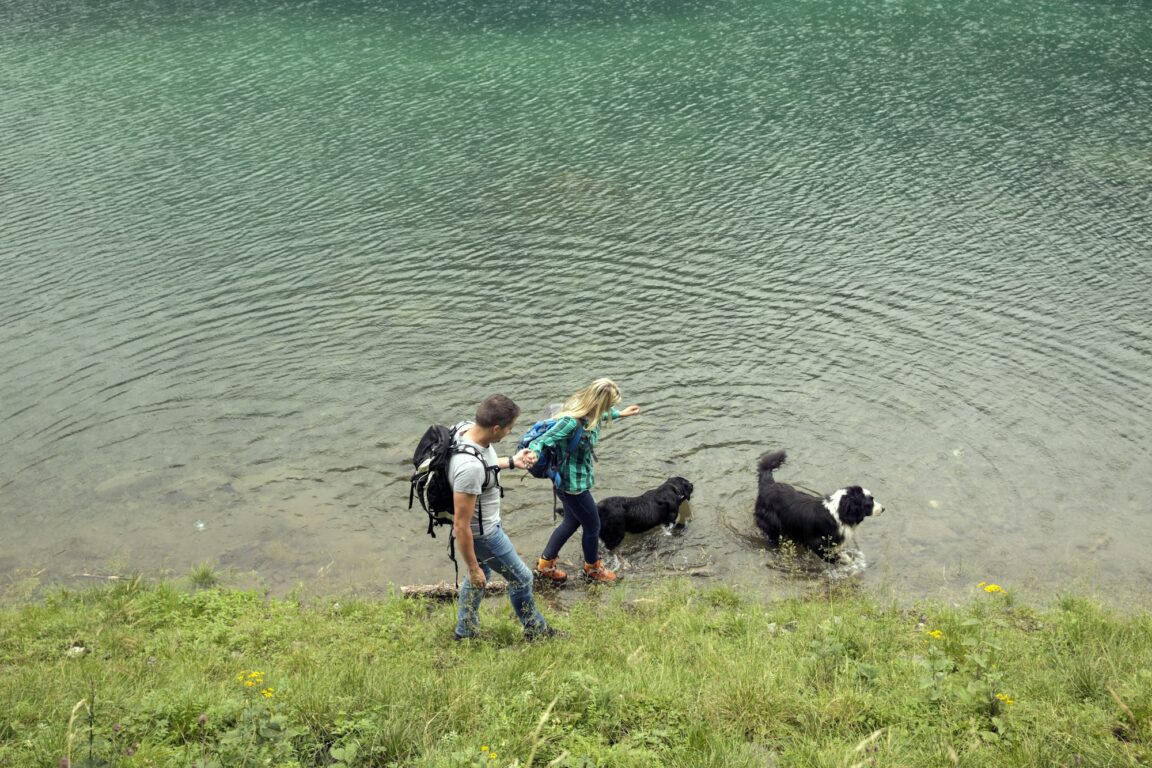 Couple with dogs hiking by lake, Tirol, Steiermark, Austria, Europe