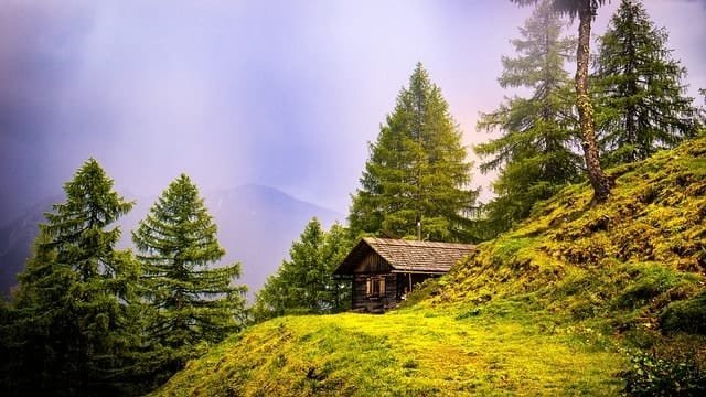 alpine hut, mountains, trees