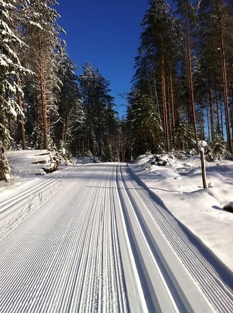 trail, cross-country skiing, snow