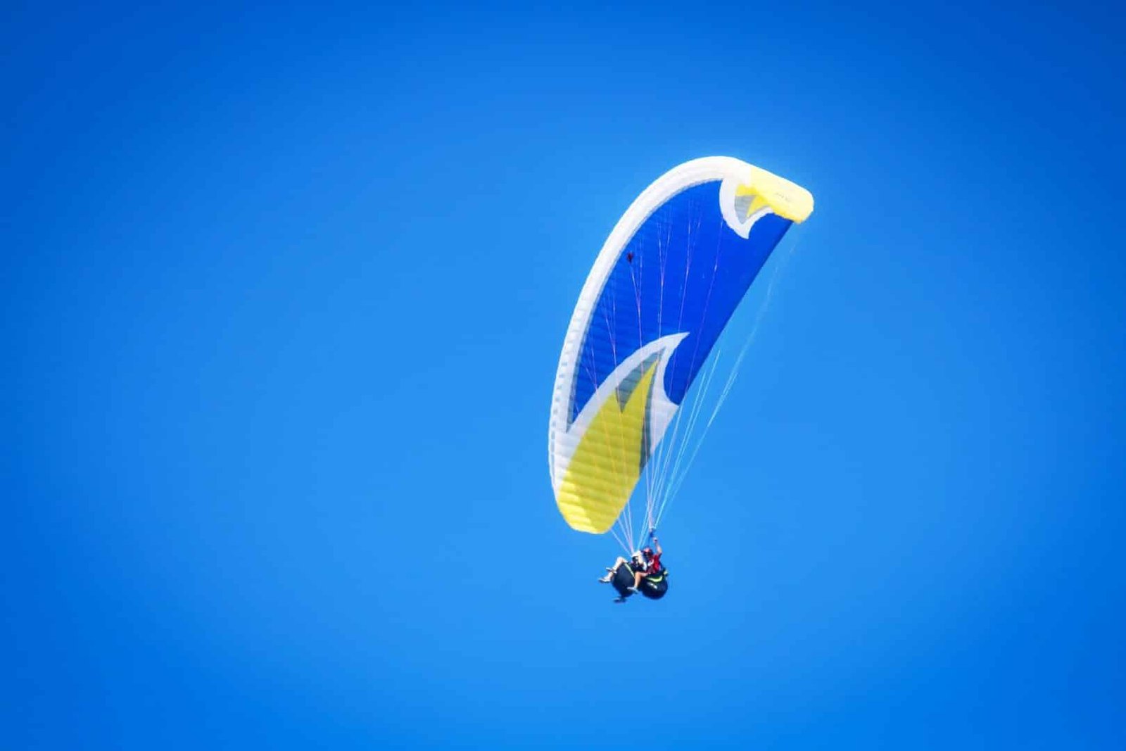 Paraglider