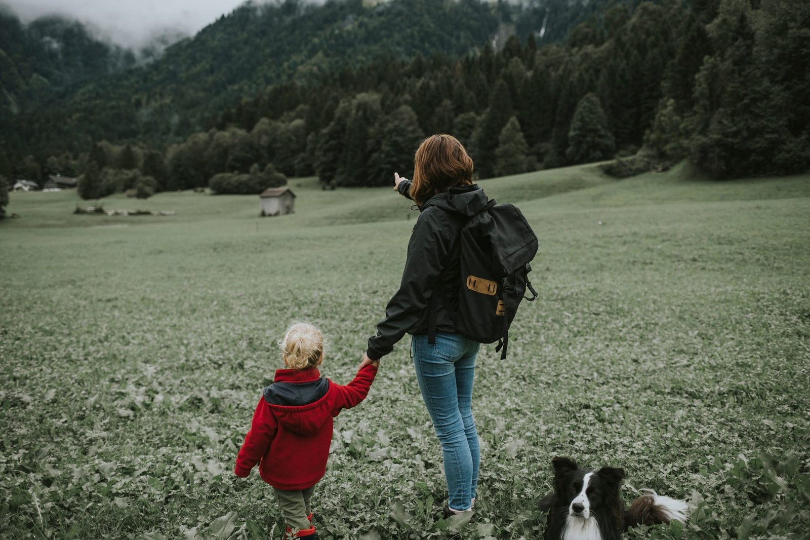Austria, Vorarlberg, Mellau, mother and toddler with dog on a trip in the mountains
