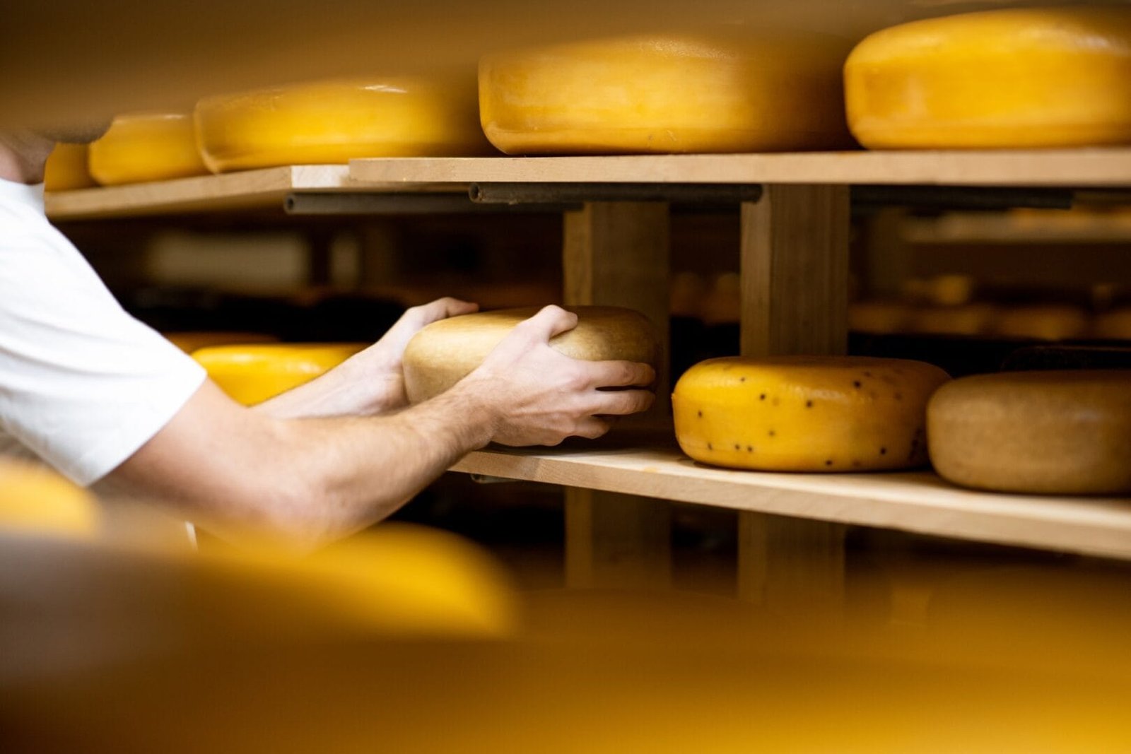 Cheese maker at the cheese storage