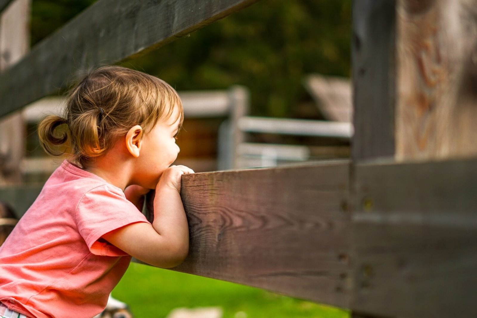 Little girl watching the sunset on the farm