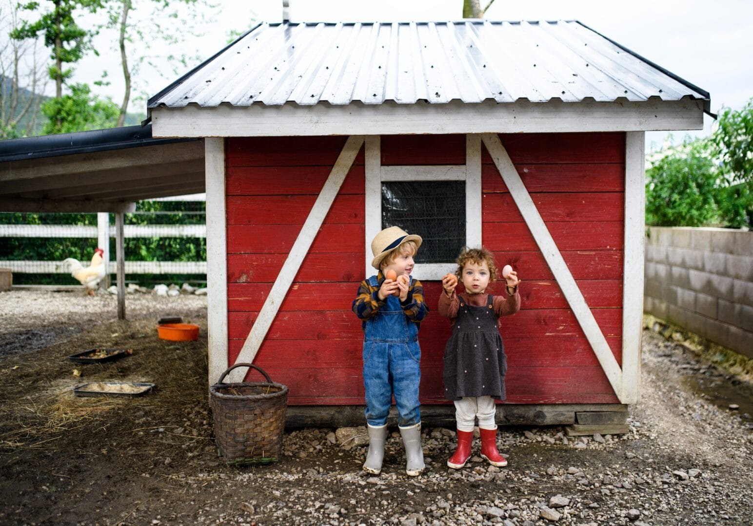 Portrait of small children standing on farm, holding eggs