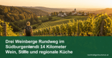 Drei Weinberge Rundweg im Südburgenland: 14 Kilometer Wein, Stille und regionale Küche