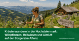 Kräuterwandern in der Hochsteiermark: Wildpflanzen, Heilwissen und Almluft auf der Bürgeralm Aflenz