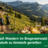 Nationalpark-Radweg Neusiedler See: Radfahren durch Österreichs einziges Steppenschutzgebiet