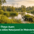 Nationalpark-Radweg Neusiedler See: Radfahren durch Österreichs einziges Steppenschutzgebiet