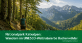 Nationalpark Kalkalpen: Wandern im UNESCO-Weltnaturerbe Buchenwälder