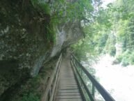 Bürserschlucht Vorarlberg: Nachhaltige Wanderung für Familien in der Alpenregion Bludenz
