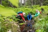 Waldbaden im nachhaltigen Urlaub in Gargellen im Montafon
