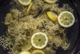 Bio Holunderblüten Sirup