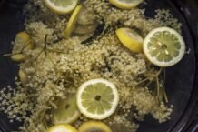 Bio Holunderblüten Sirup selber machen – Tradition trifft Nachhaltigkeit