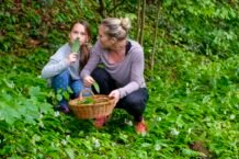 Bärlauch: Die regionale und saisonale Köstlichkeit aus Österreich für nachhaltige Touristen im Frühling