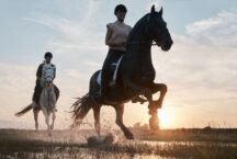 Reiten in Österreich: Nachhaltige Urlaubsaktivität für Naturfreunde