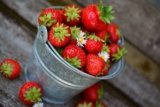 Erdbeeren aus der Region haben Saison 